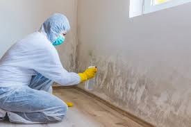 Best Forensic Mold Investigation  in Sparta, GA